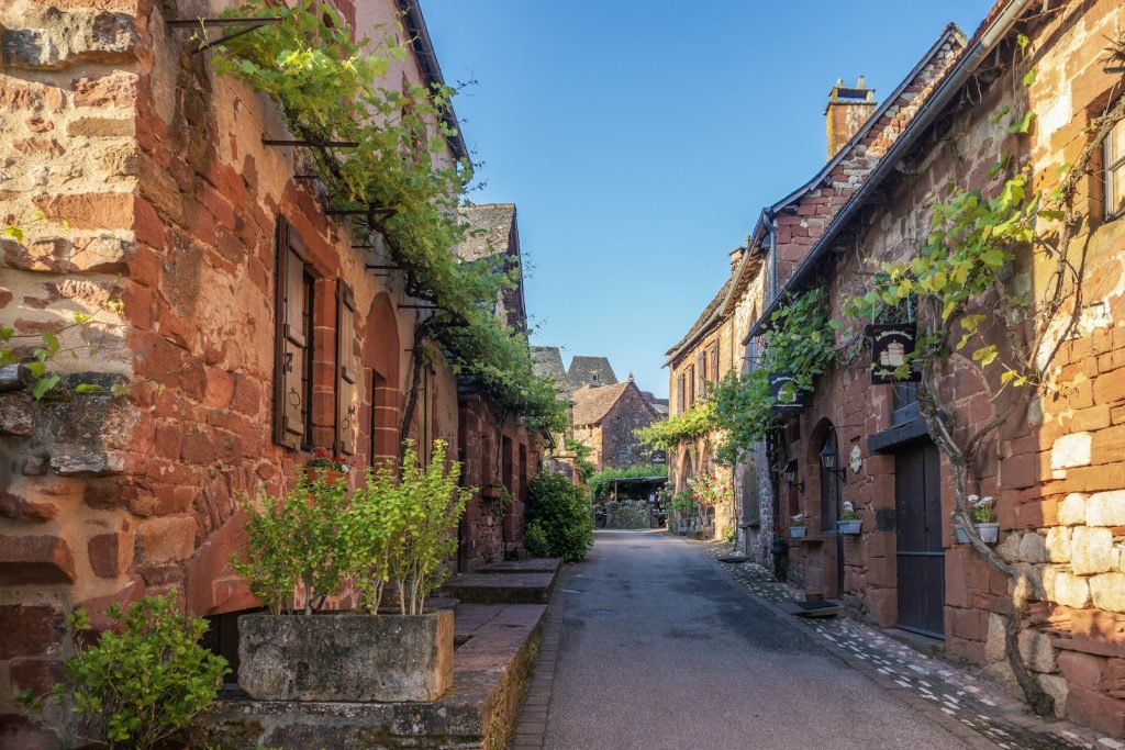 une rue étroite bordée de bâtiments en briques sur lesquels poussent des vignes