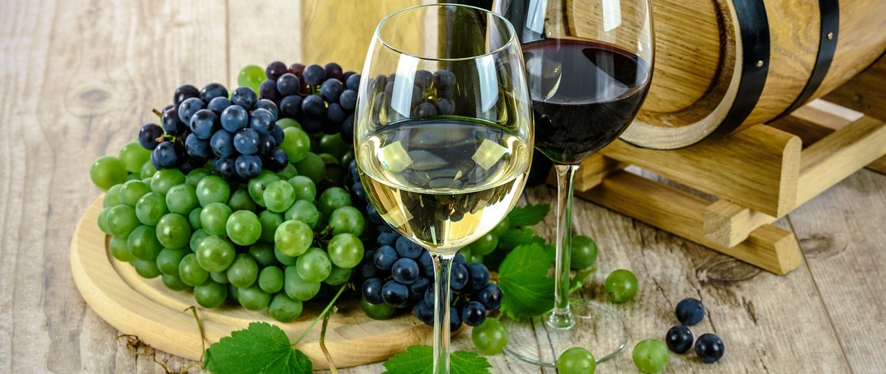 découvrez l'art de la dégustation de vin à travers une expérience sensorielle unique. apprenez à apprécier les arômes, les saveurs et la provenance des vins tout en explorant des accords mets et vins raffinés. que vous soyez novice ou expert, plongez dans l'univers passionnant des vins grâce à nos conseils et astuces.