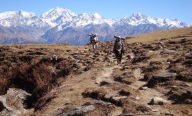 découvrez l'art de la pèlerinage avec notre guide complet. explorez l'importance spirituelle et culturelle de ces voyages sacrés, les sites emblématiques à visiter et les traditions qui les entourent.