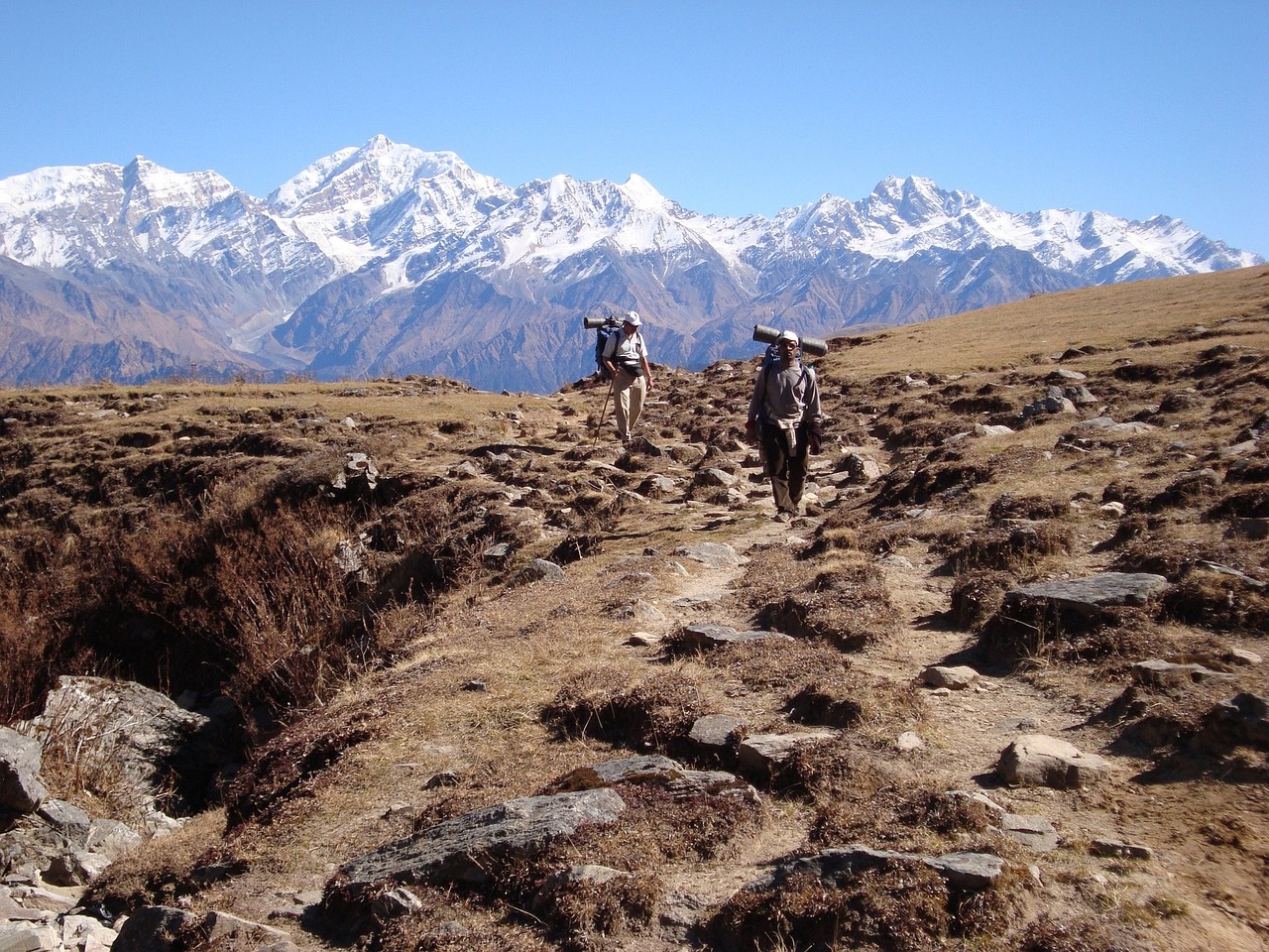 découvrez l'art de la pèlerinage avec notre guide complet. explorez l'importance spirituelle et culturelle de ces voyages sacrés, les sites emblématiques à visiter et les traditions qui les entourent.