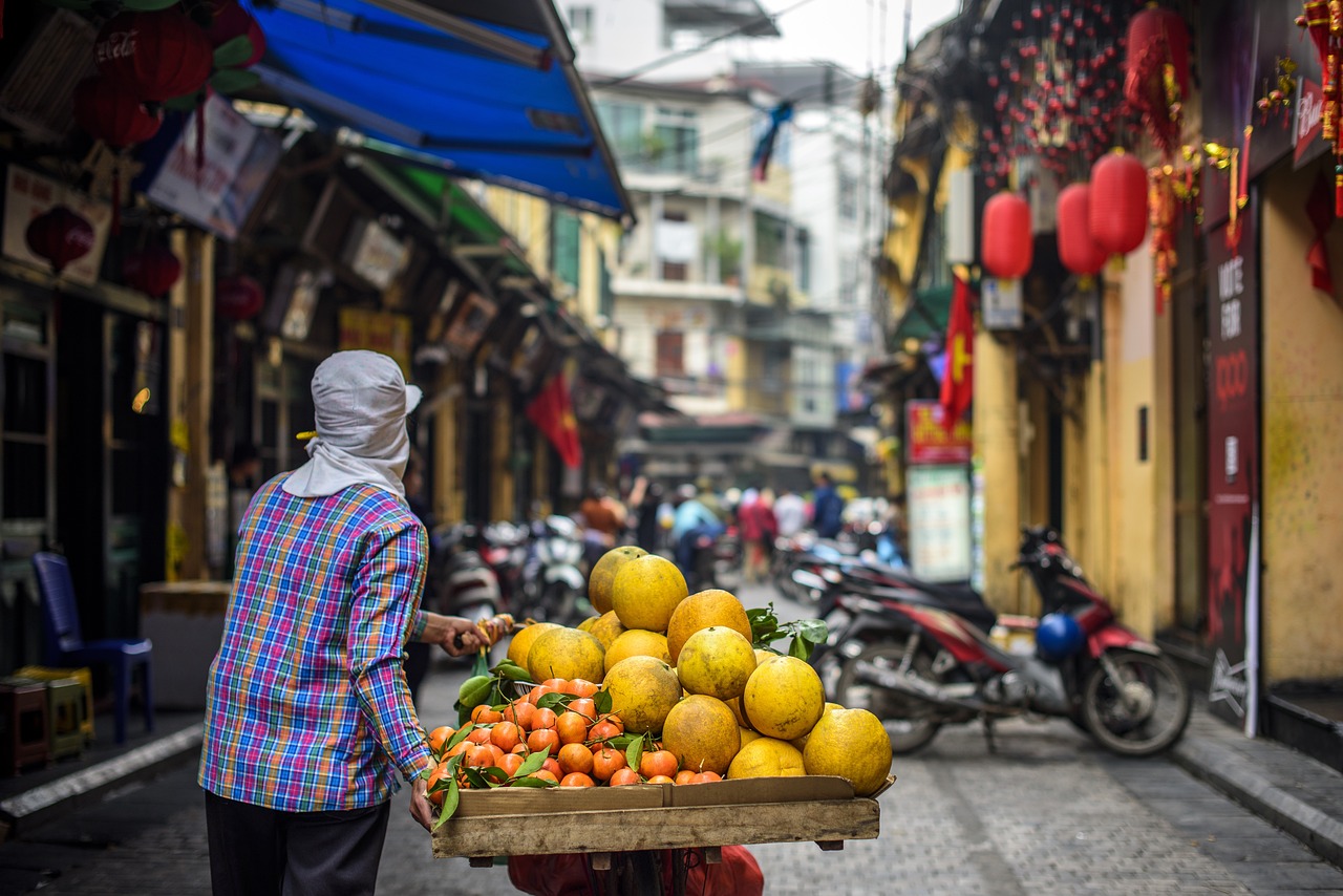 découvrez hanoi, la captivante capitale du vietnam, où l'histoire millénaire rencontre la vie moderne. explorez ses temples pittoresques, dégustez une délicieuse cuisine de rue et imprégnez-vous de l'atmosphère vibrante de ses marchés animés.