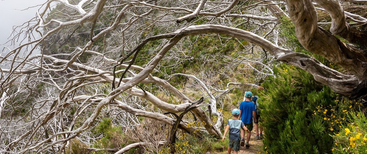 découvrez des moments inoubliables en famille à travers des aventures palpitantes. explorez des destinations fascinantes, partagez des activités adaptées à tous les âges et créez des souvenirs qui dureront toute une vie. embarquez pour l'aventure en famille dès aujourd'hui!