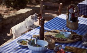 découvrez des options de restauration abordables qui allient qualité et saveurs exquises. profitez de repas savoureux sans vous ruiner, idéaux pour les familles, les sorties entre amis ou un repas rapide en semaine.