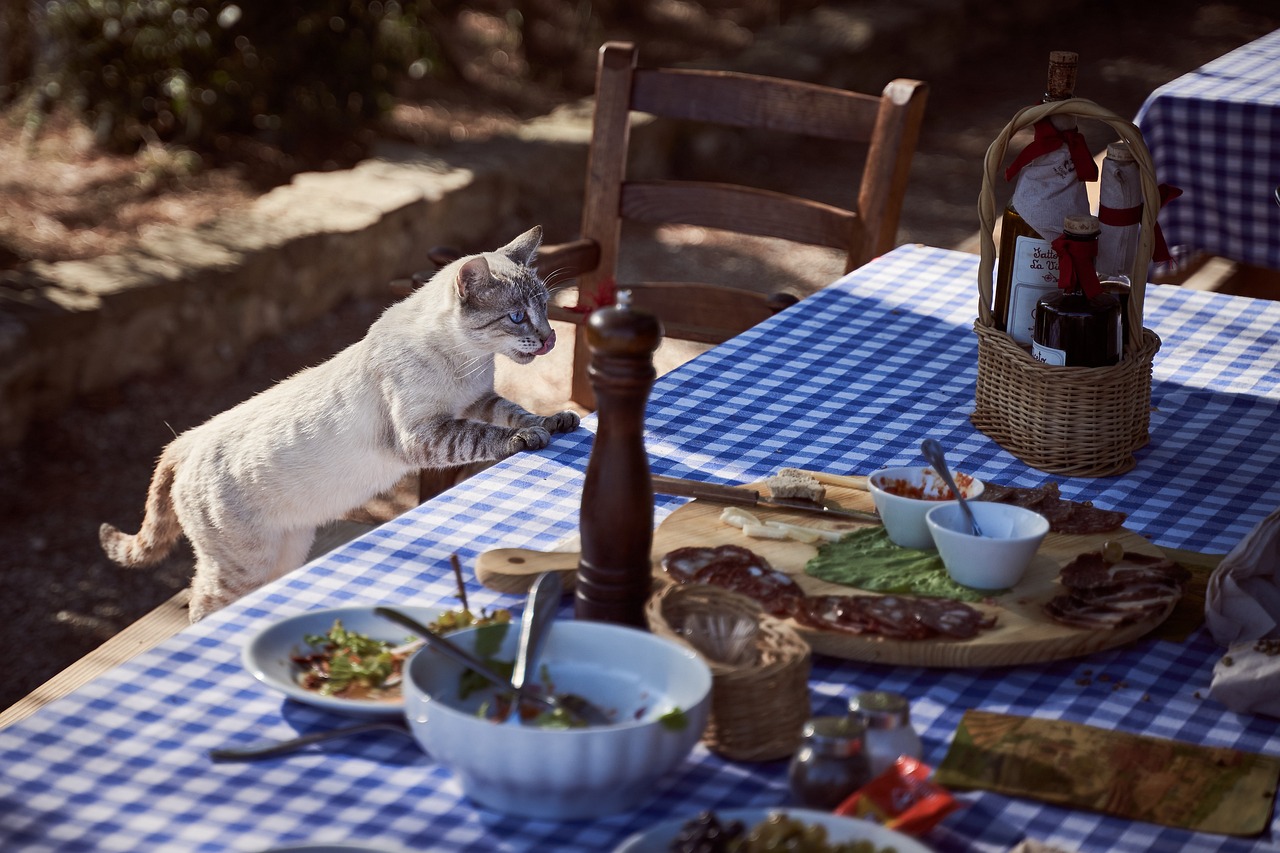 découvrez des options de restauration abordables qui allient qualité et saveurs exquises. profitez de repas savoureux sans vous ruiner, idéaux pour les familles, les sorties entre amis ou un repas rapide en semaine.