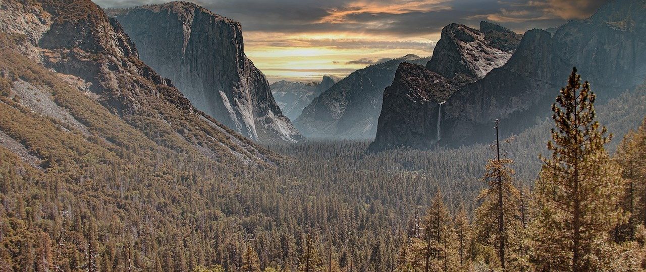 découvrez la beauté des parcs nationaux, des sanctuaires de nature préservée où la faune et la flore prospèrent. explorez des paysages époustouflants, profitez d'activités de plein air et reconnectez-vous avec l'environnement dans ces destinations incontournables.