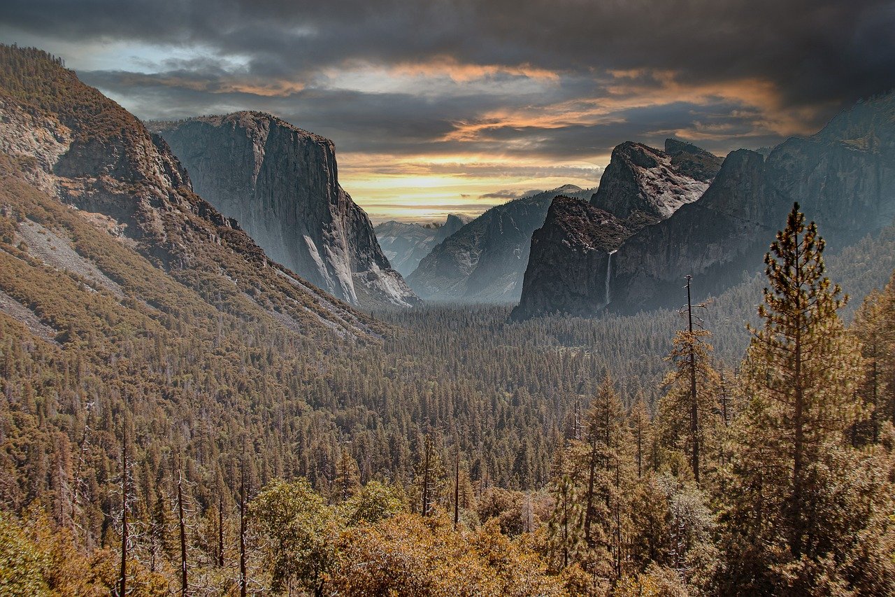 découvrez la beauté des parcs nationaux, des sanctuaires de nature préservée où la faune et la flore prospèrent. explorez des paysages époustouflants, profitez d'activités de plein air et reconnectez-vous avec l'environnement dans ces destinations incontournables.