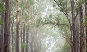 découvrez l'univers fascinant de l'aventure en pleine nature ! rejoignez-nous pour des expéditions inoubliables, des randonnées exaltantes, et des moments de partage au cœur d'environnements sauvages. éveillez votre esprit aventurier et plongez dans l'aventure naturelle qui vous attend !