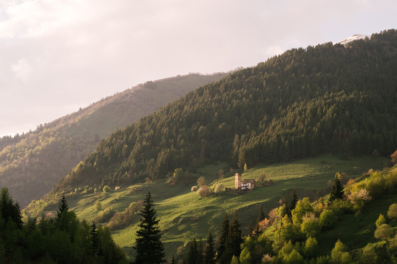 découvrez les meilleurs pays à visiter pour des vacances inoubliables. explorez des destinations variées, des paysages époustouflants et des cultures fascinantes qui vous émerveilleront à chaque étape de votre voyage.