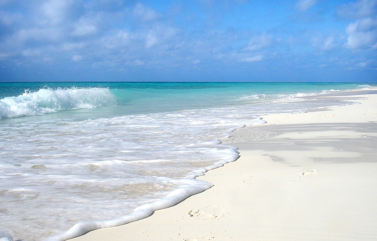 découvrez cuba, une île captivante des caraïbes, célèbre pour ses plages de sable blanc, sa riche culture, ses rythmes envoûtants et son histoire fascinante. plongez dans l'ambiance vibrante de la havane, savourez la cuisine créole et explorez des paysages variés allant des vallées luxuriantes aux montagnes majestueuses. cuba, une destination incontournable pour les aventuriers et les amateurs de détente.