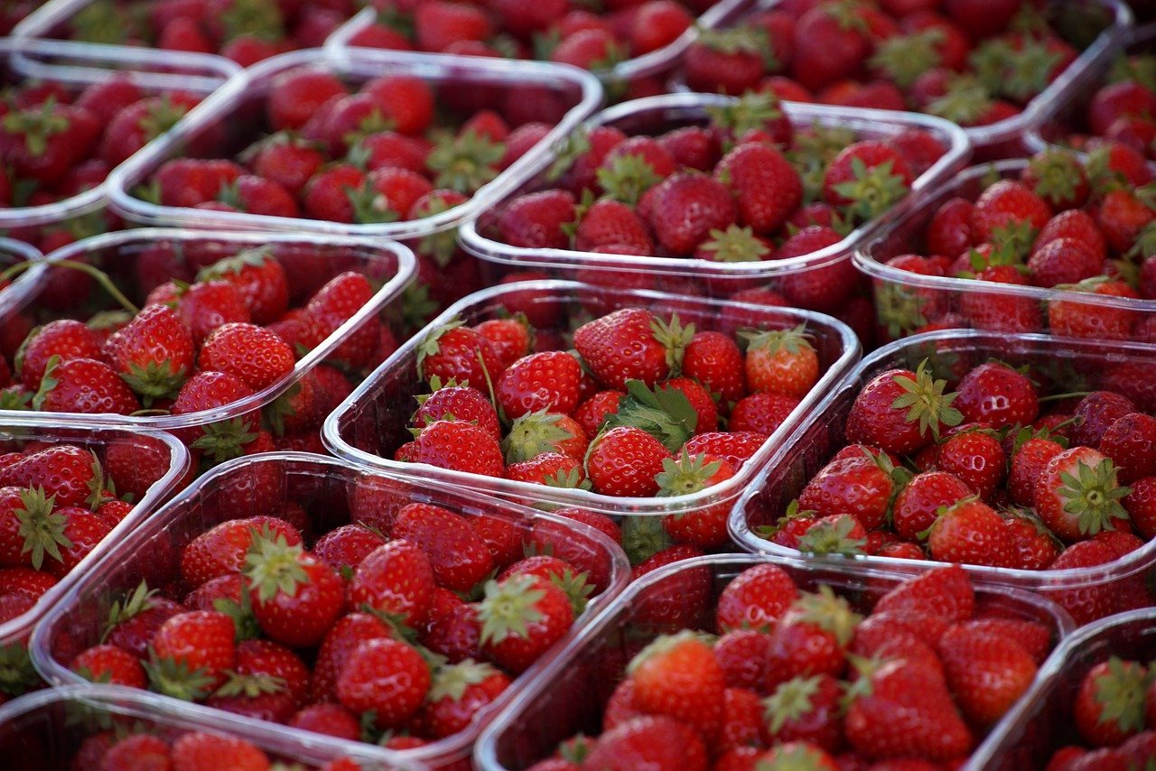 découvrez l'univers des marchés alimentaires, où la fraîcheur des produits locaux rencontre la diversité des saveurs. explorez des stands colorés, rencontrez des producteurs passionnés et savourez des plats uniques dans une ambiance conviviale et authentique.