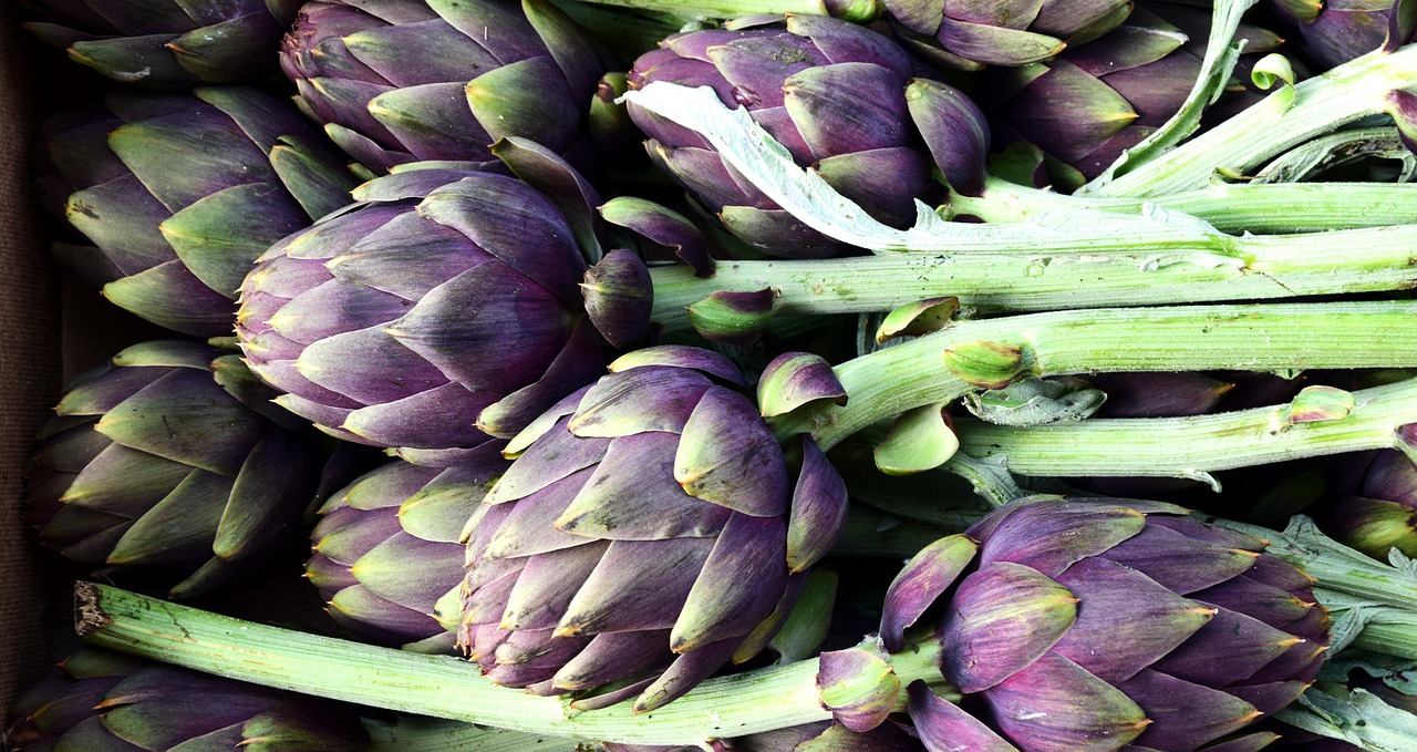 découvrez les délices de la cuisine méditerranéenne : un voyage gustatif à travers des saveurs ensoleillées, des ingrédients frais et sains, et des recettes traditionnelles qui éveillent les sens. plongez dans un univers culinaire riche en histoire et en convivialité.