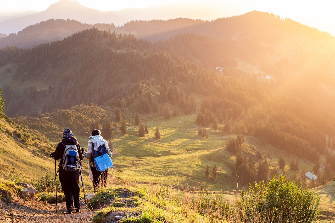 découvrez les meilleures randonnées en montagne, où chaque sentier vous offre des panoramas à couper le souffle et une connexion unique avec la nature. que vous soyez novice ou randonneur expérimenté, explorez des itinéraires adaptés à tous les niveaux et vivez des aventures inoubliables en montagne.