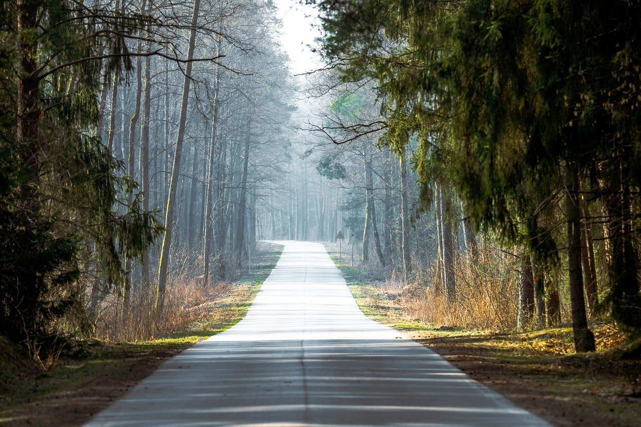 découvrez la beauté sauvage des parcs nationaux, des joyaux naturels préservés où la faune et la flore s'épanouissent dans des paysages à couper le souffle. partez à l'aventure et explorez des sentiers, admirez des panoramas grandioses et vivez des expériences inoubliables au cœur de la nature.