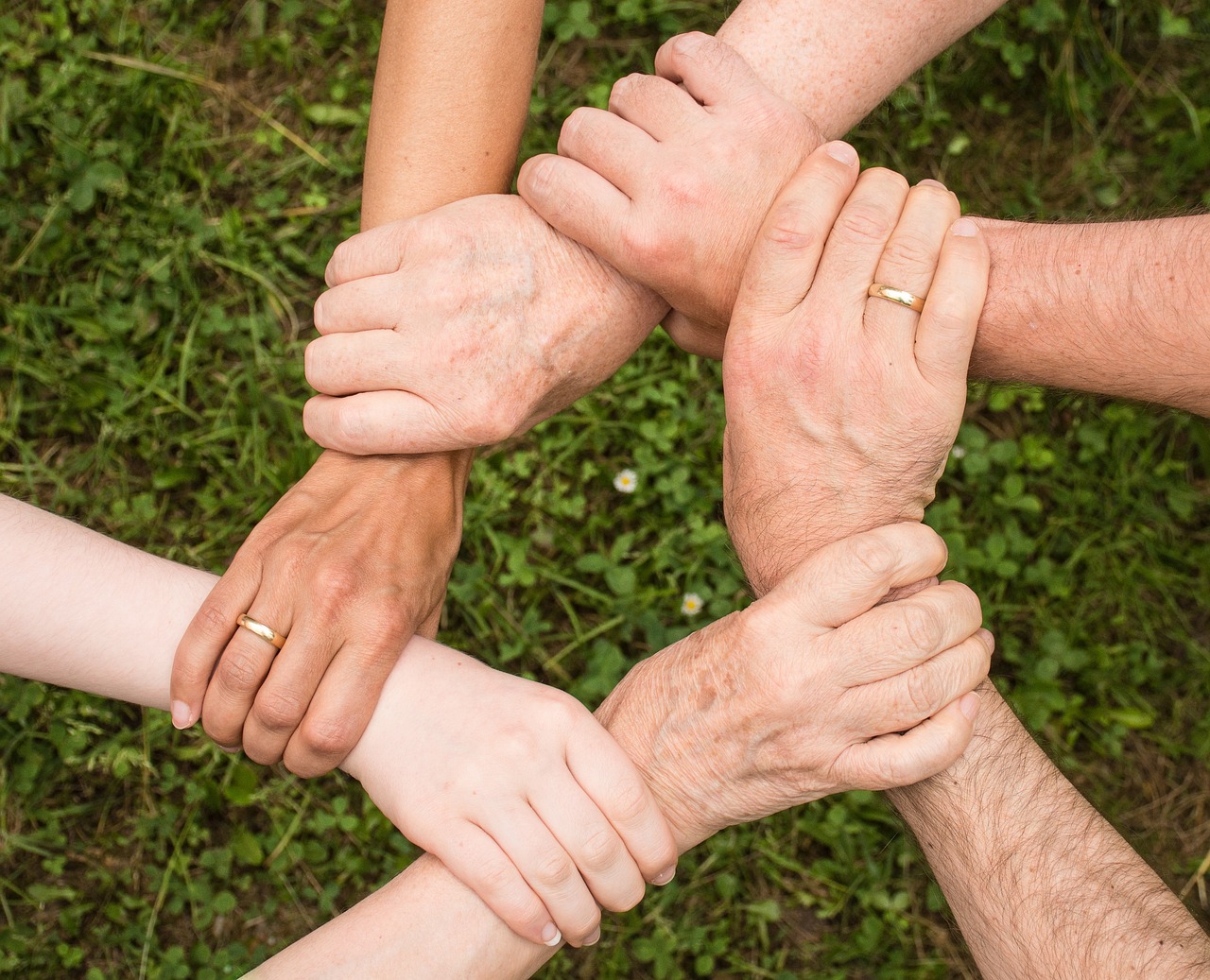 découvrez une multitude d'activités en famille pour renforcer les liens, s'amuser et créer des souvenirs inoubliables. que ce soit des sorties en plein air, des jeux à domicile ou des projets créatifs, trouvez l'inspiration pour des moments de qualité ensemble.