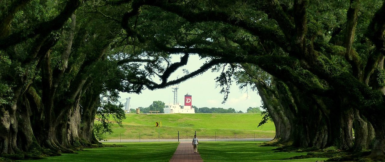 découvrez la louisiane, un état riche en culture, en musique et en gastronomie, où les traditions créoles fusionnent avec l'héritage historique. explorez new orleans, ses fêtes vibrantes, sa cuisine délicieuse, et laissez-vous envoûter par les paysages marécageux et la chaleur des habitants.