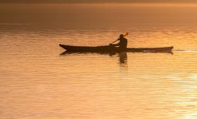 découvrez le canoeing, une activité nautique passionnante qui vous permet d'explorer des rivières, des lacs et des paysages pittoresques. que vous soyez débutant ou expert, cette aventure en plein air offre détente, sensations fortes et un contact unique avec la nature.