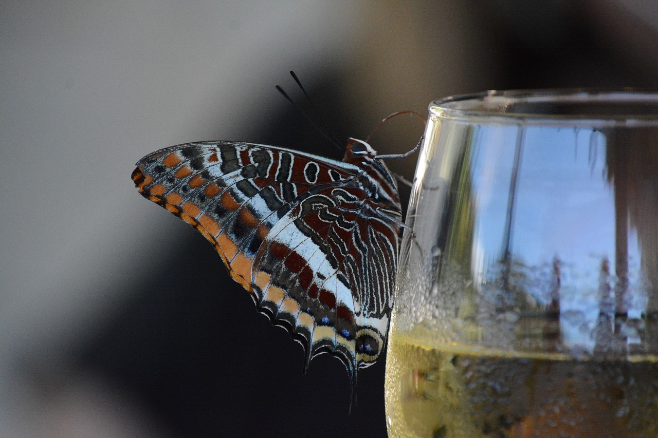 découvrez l'art de la dégustation à travers une expérience sensorielle unique qui éveille vos papilles. apprenez à savourer et à apprécier les nuances des saveurs, des arômes et des textures, que ce soit pour le vin, la nourriture ou d'autres délices gourmands.