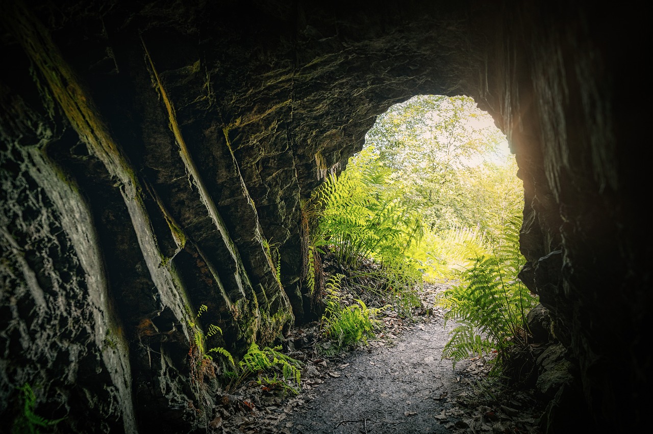 découvrez l'aventure captivante de l'exploration de grottes, où la nature dévoile ses merveilles souterraines et où chaque détour révèle des paysages mystérieux et fascinants. plongez dans les profondeurs de la terre et laissez-vous séduire par la beauté cachée de ces mondes souterrains.