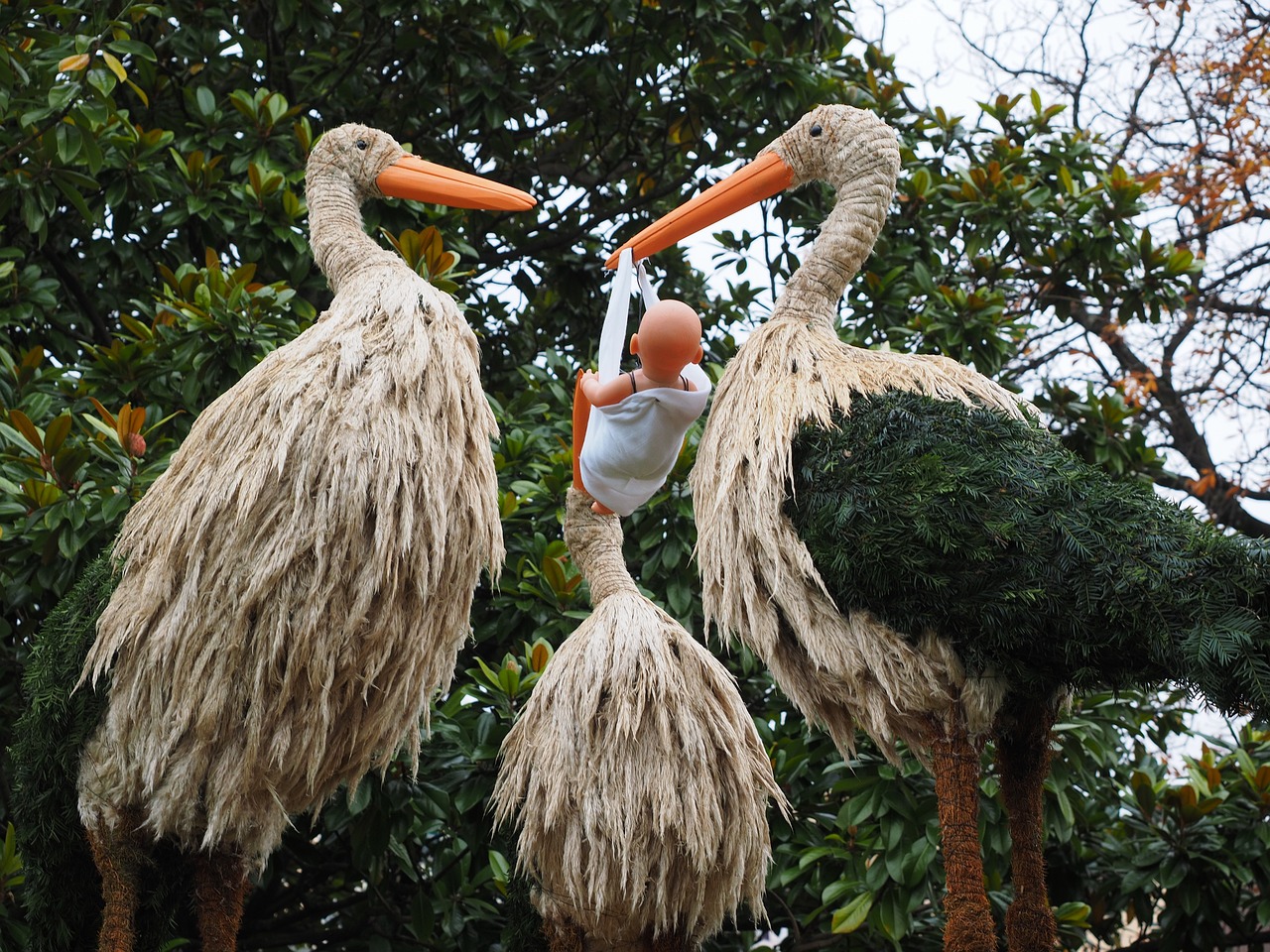 découvrez les rituels de fertilité traditionnels et modernes, visant à promouvoir la conception et à célébrer la vie. explorez des pratiques spirituelles et culturelles qui soutiennent les couples dans leur parcours vers la parentalité.