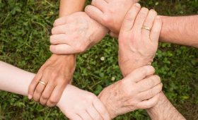 découvrez des randonnées familiales inoubliables à travers des paysages pittoresques et adaptés aux petits aventuriers. explorez des sentiers sécurisés et profitez d'activités en pleine nature qui raviront petits et grands!