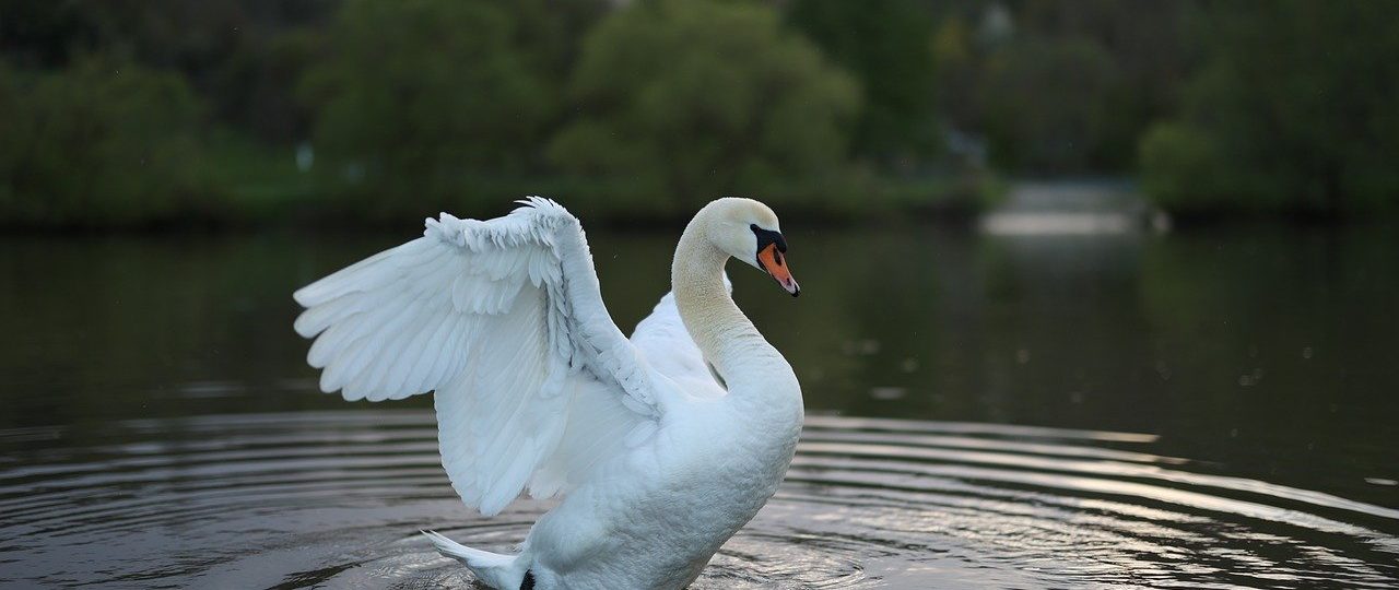 découvrez les avantages de voyager en dehors des heures de pointe. économisez sur vos billets, évitez la foule et profitez d'une expérience de voyage plus relaxante. explorez de nouvelles destinations à votre rythme avec des trajets plus tranquilles.