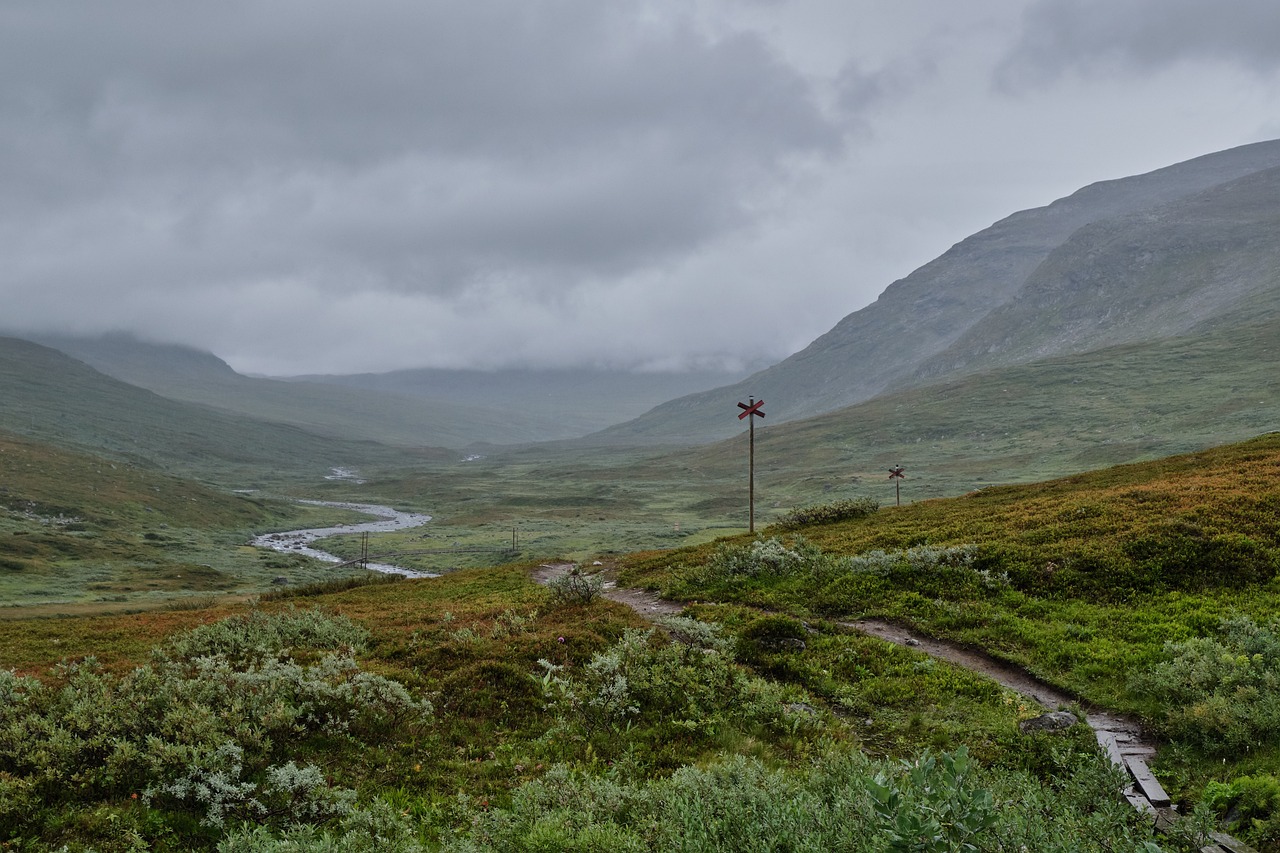 découvrez notre sélection d'équipements d'aventure de haute qualité pour vos escapades en plein air. que vous soyez randonneur, grimpeur ou amateur de camping, trouvez l'équipement parfait pour vivre des expériences inoubliables dans la nature.