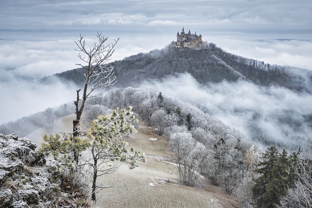 découvrez l'univers fascinant des châteaux, véritables témoins de l'histoire et de l'architecture. explorez des édifices majestueux aux récits enchanteurs, des légendes médiévales aux jardins à la française, et laissez-vous transporter dans un voyage à travers le temps.