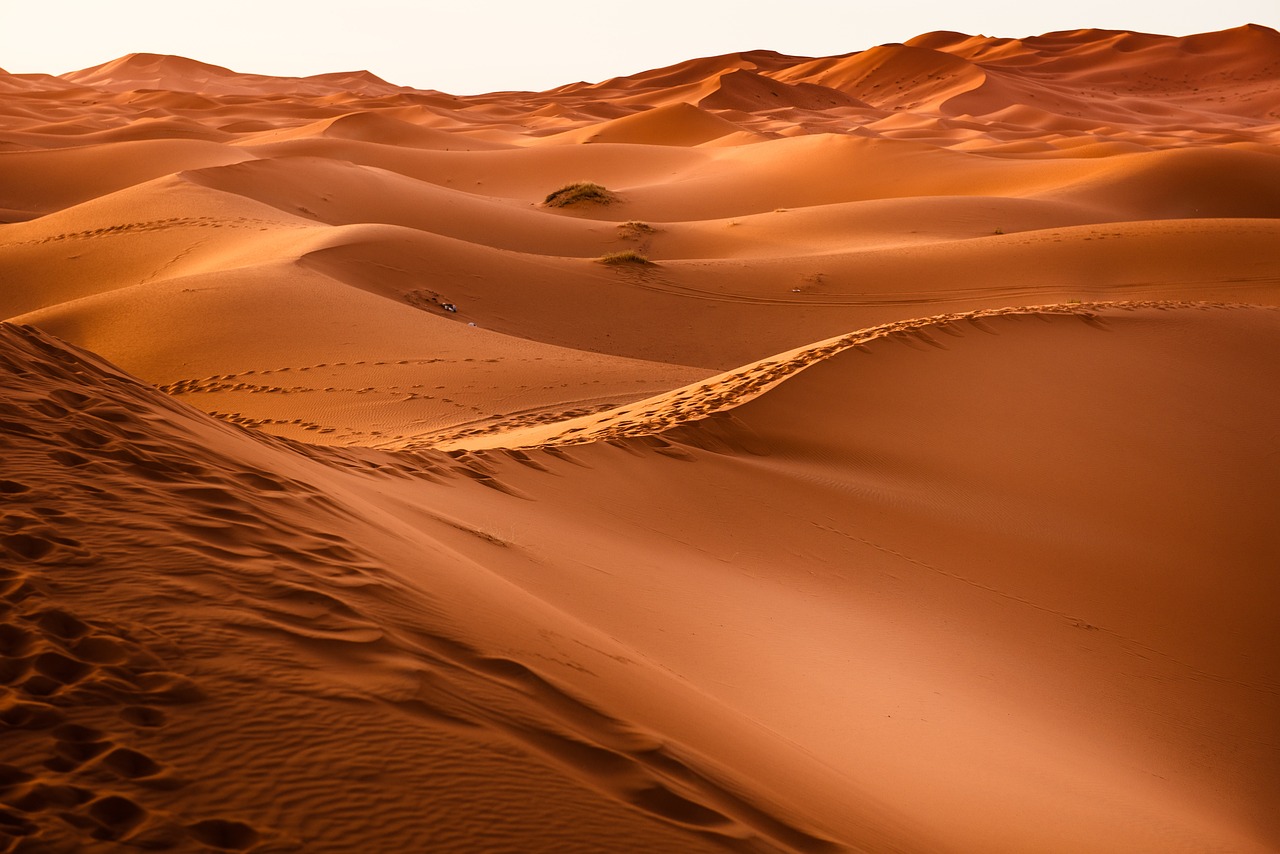 découvrez les déserts fascinants du monde, leurs paysages arides, leur biodiversité étonnante et les mystères qu'ils recèlent. explorez la beauté sauvage des dunes de sable et laissez-vous envoûter par les secrets des terres désertiques.