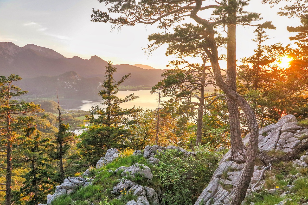 découvrez les meilleures destinations de randonnée pour les amateurs de plein air. explorez des sentiers spectaculaires, admirez des paysages époustouflants et profitez de l'aventure tout en restant en harmonie avec la nature.