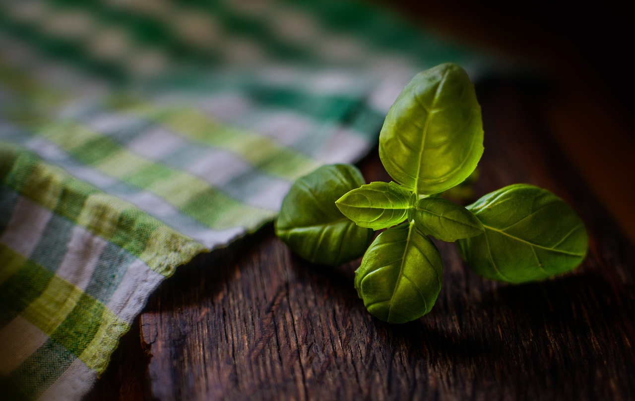 découvrez les ingrédients essentiels pour une cuisine authentique et savoureuse. explorez notre sélection d'éléments de qualité et apprenez à les utiliser pour sublimer vos plats.