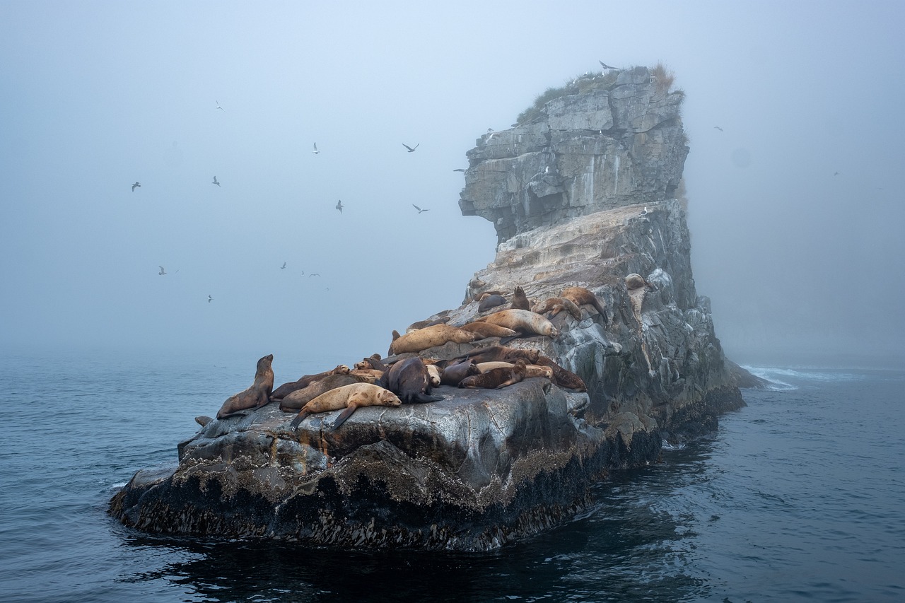 découvrez les plus belles îles du monde, des plages de sable blanc aux paysages tropicaux, en passant par des cultures uniques. explorez les joyaux cachés et les destinations paradisiaques à ne pas manquer.