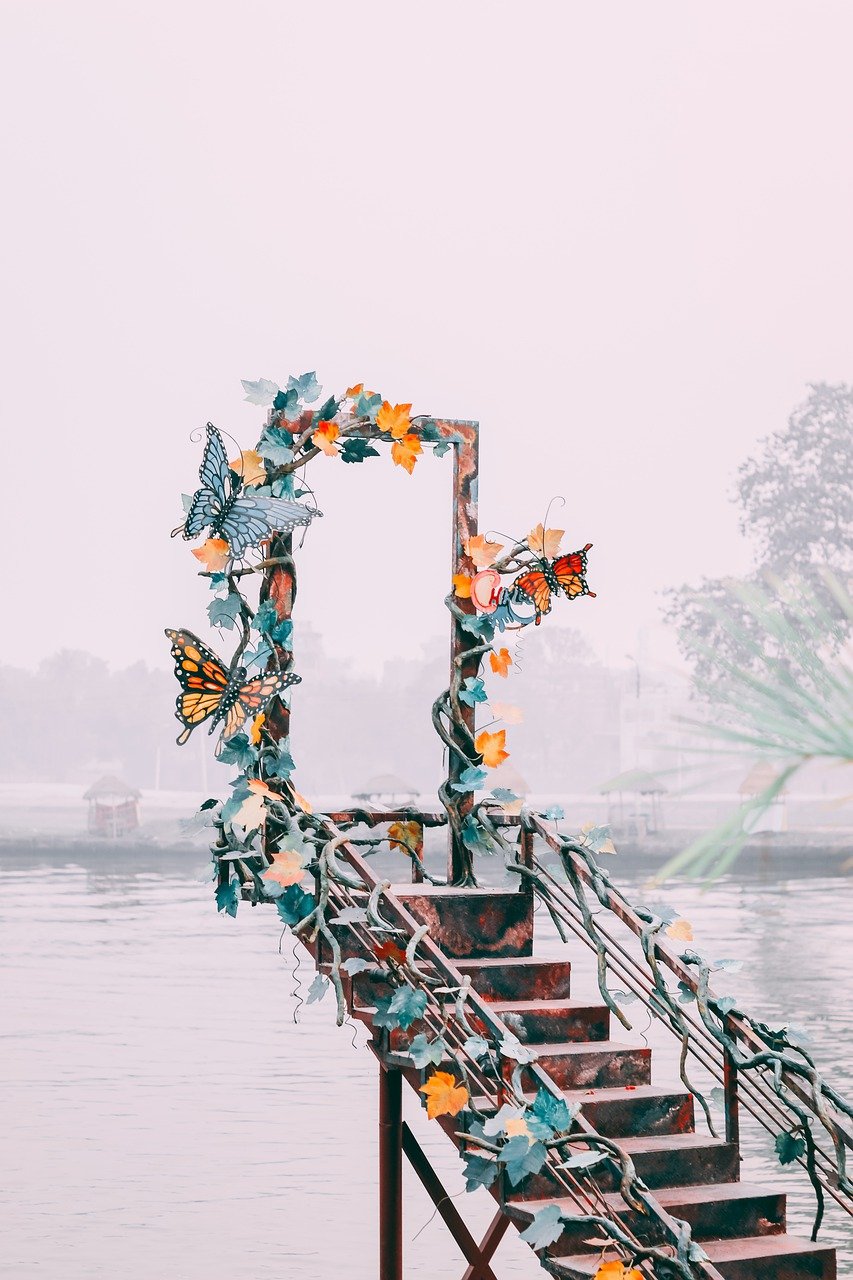 découvrez la beauté des lacs, des havres de paix entourés par la nature, idéaux pour la détente, les activités nautiques et l'exploration. plongez dans des paysages enchanteurs et vivez des expériences inoubliables au bord de l'eau.