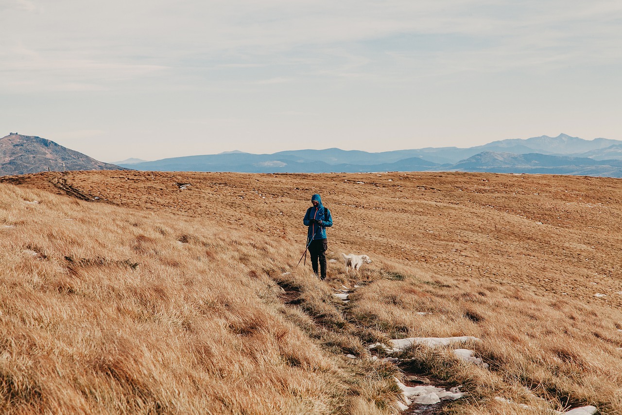 découvrez le monde des micro-aventures, des escapades éphémères et authentiques qui vous permettent d'explorer la nature et de vivre des expériences mémorables près de chez vous. éveillez votre esprit d'aventure avec des idées inspirantes et des conseils pratiques pour sortir de votre routine quotidienne.