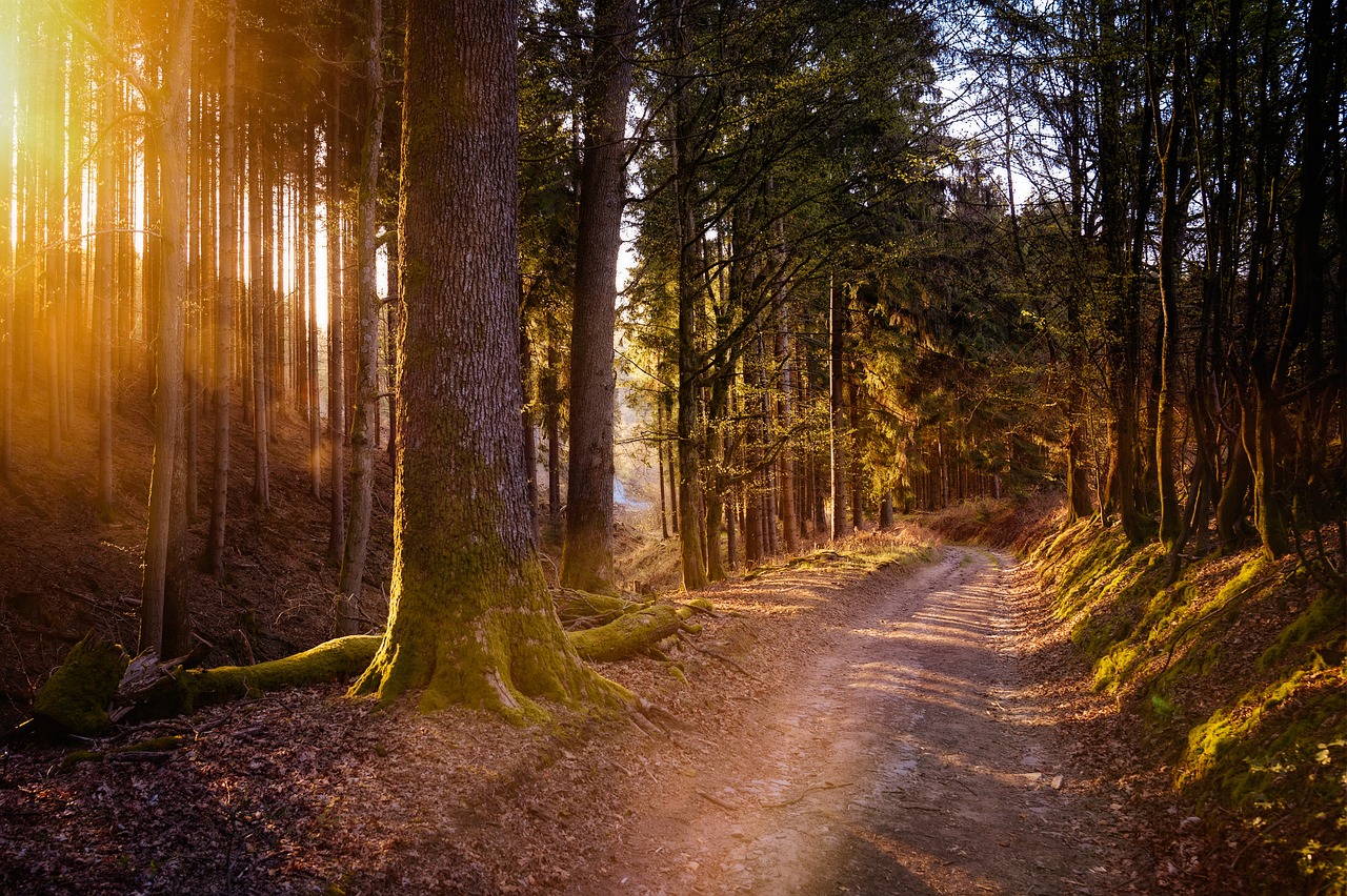 découvrez des randonnées mythiques à travers des paysages à couper le souffle. explorez des sentiers légendaires, des panoramas époustouflants et vivez des aventures inoubliables au cœur de la nature.