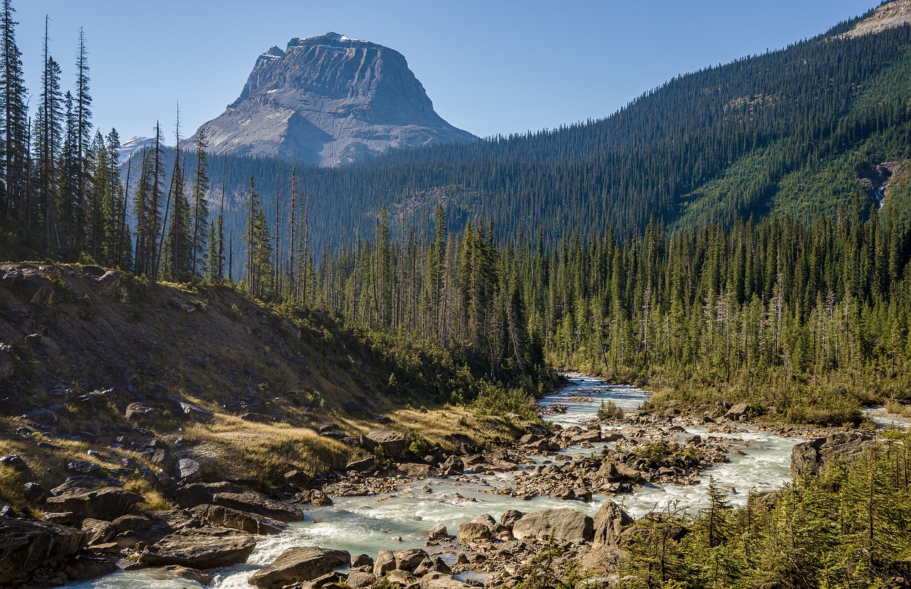 découvrez la beauté et la diversité des parcs nationaux, des refuges de nature préservée où vous pouvez explorer des paysages époustouflants, observer la faune et vous reconnecter avec l'environnement. partez à l'aventure et inspirez-vous des trésors naturels qui vous attendent.