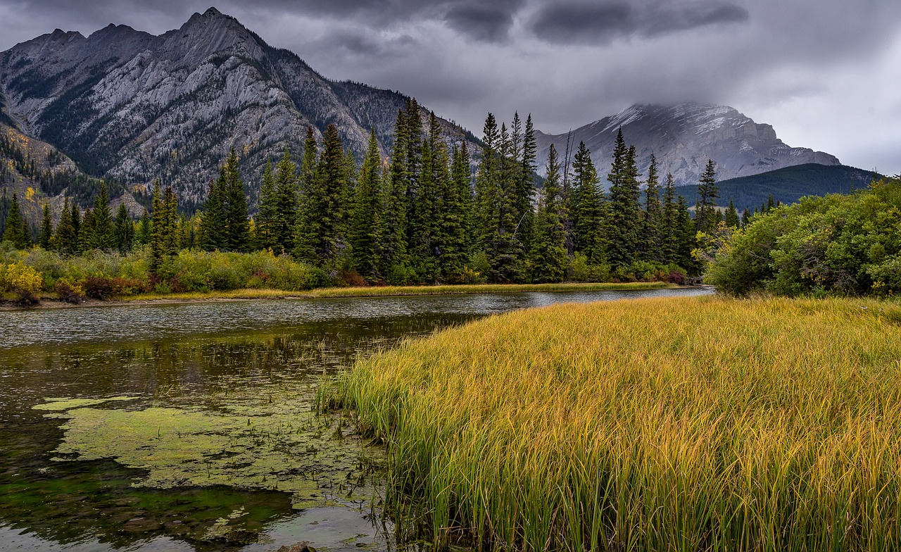 découvrez la beauté des parcs nationaux, des sanctuaires de nature préservée où vous pourrez explorer des paysages époustouflants, observer la faune et profiter d'activités de plein air. partez à l'aventure et laissez-vous séduire par la richesse de la biodiversité et les panoramas spectaculaires qu'offrent ces trésors naturels.