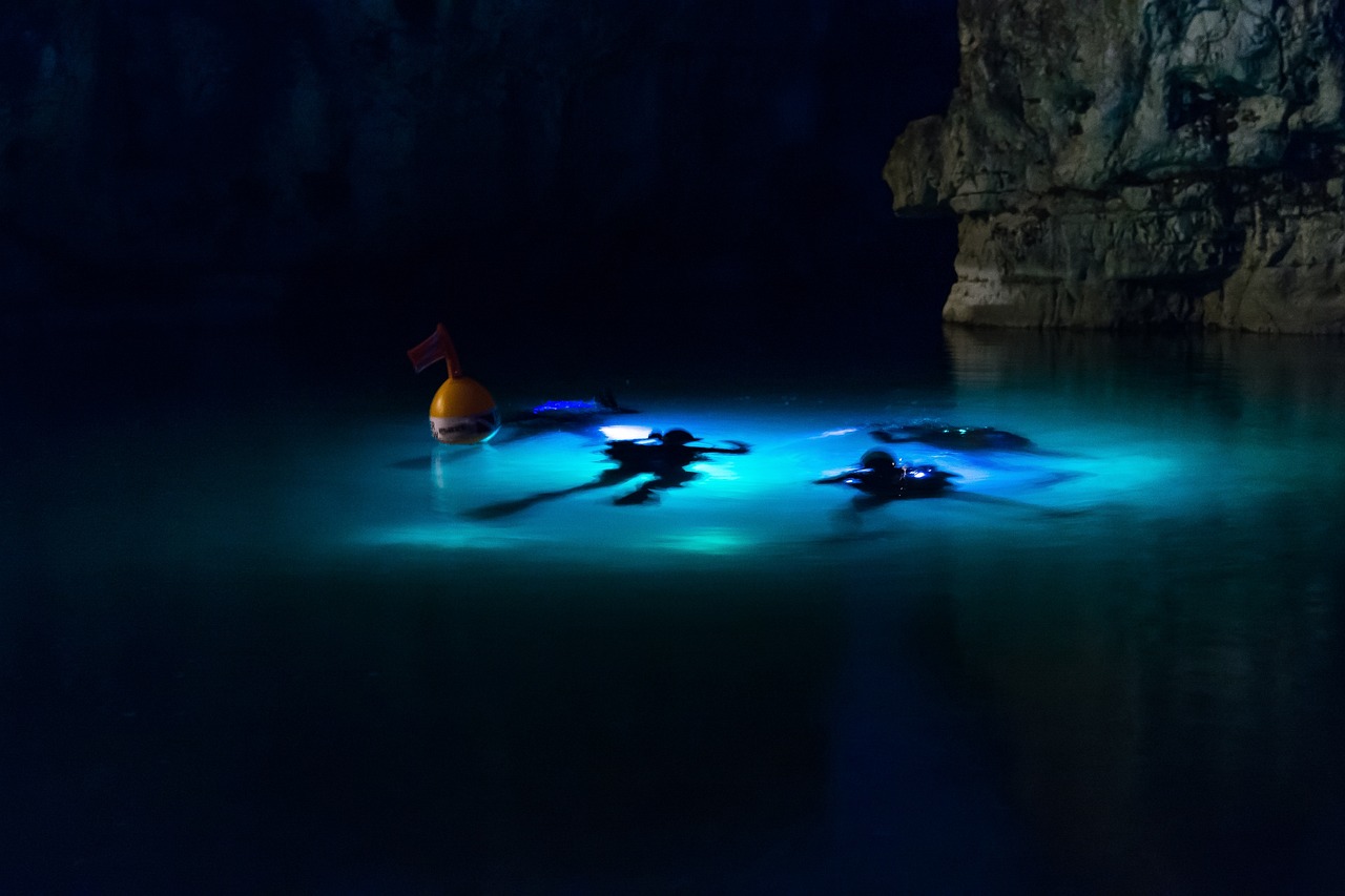 découvrez nature immersion, votre escapade idéale au cœur des paysages intactes. plongez dans une expérience immersive unique, alliant détente et aventure à travers la beauté naturelle. éveillez vos sens avec nos activités en plein air, et reconnectez-vous avec la nature dans un cadre apaisant.