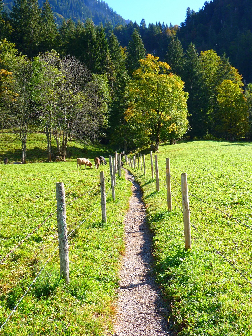 découvrez des destinations méconnues et authentiques qui s'éloignent des sentiers battus. explorez des lieux uniques, vivez des expériences inoubliables et partez à l'aventure hors des circuits touristiques traditionnels.