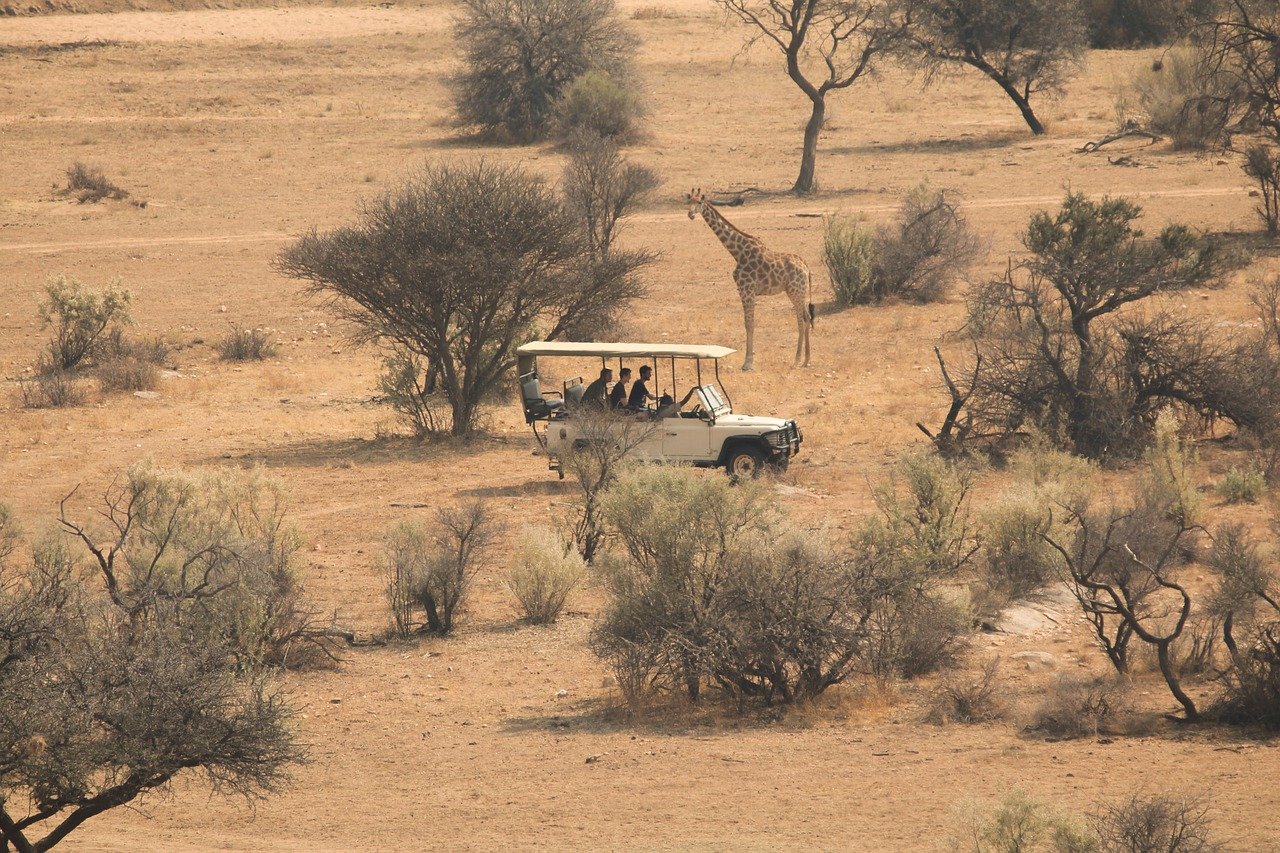 découvrez des safaris inoubliables à travers les plus beaux parcs nationaux. partez à l'aventure et observez la faune sauvage dans son habitat naturel. profitez d'expériences uniques et personnalisez votre voyage selon vos envies.