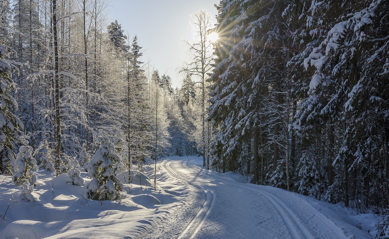 découvrez l'univers du ski : pistes enneigées, paysages à couper le souffle et sensations fortes attendent les passionnés de glisse. que vous soyez débutant ou expert, trouvez votre prochaine destination ski à travers nos conseils et astuces.