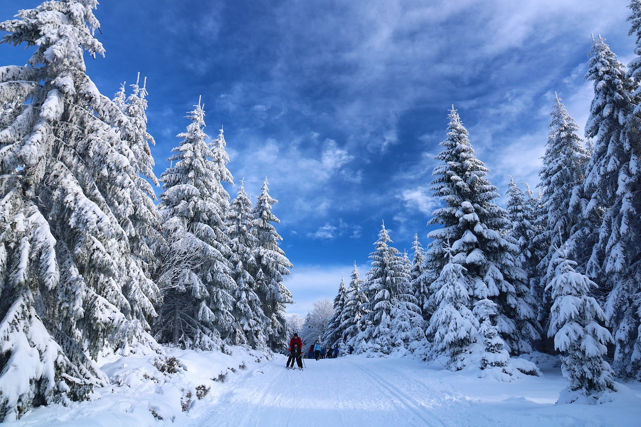 découvrez l'univers du ski : conseils, destinations idéales, techniques et matériel pour profiter pleinement de vos aventures en montagne et vivre des sensations uniques sur les pistes.