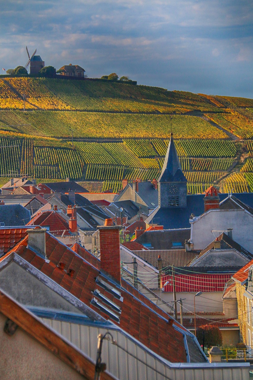 découvrez l'essence du terroir à travers des produits authentiques, des saveurs uniques et des traditions culinaires riches. plongez dans l'univers des spécialités régionales et laissez-vous séduire par la diversité des goûts que le terroir a à offrir.