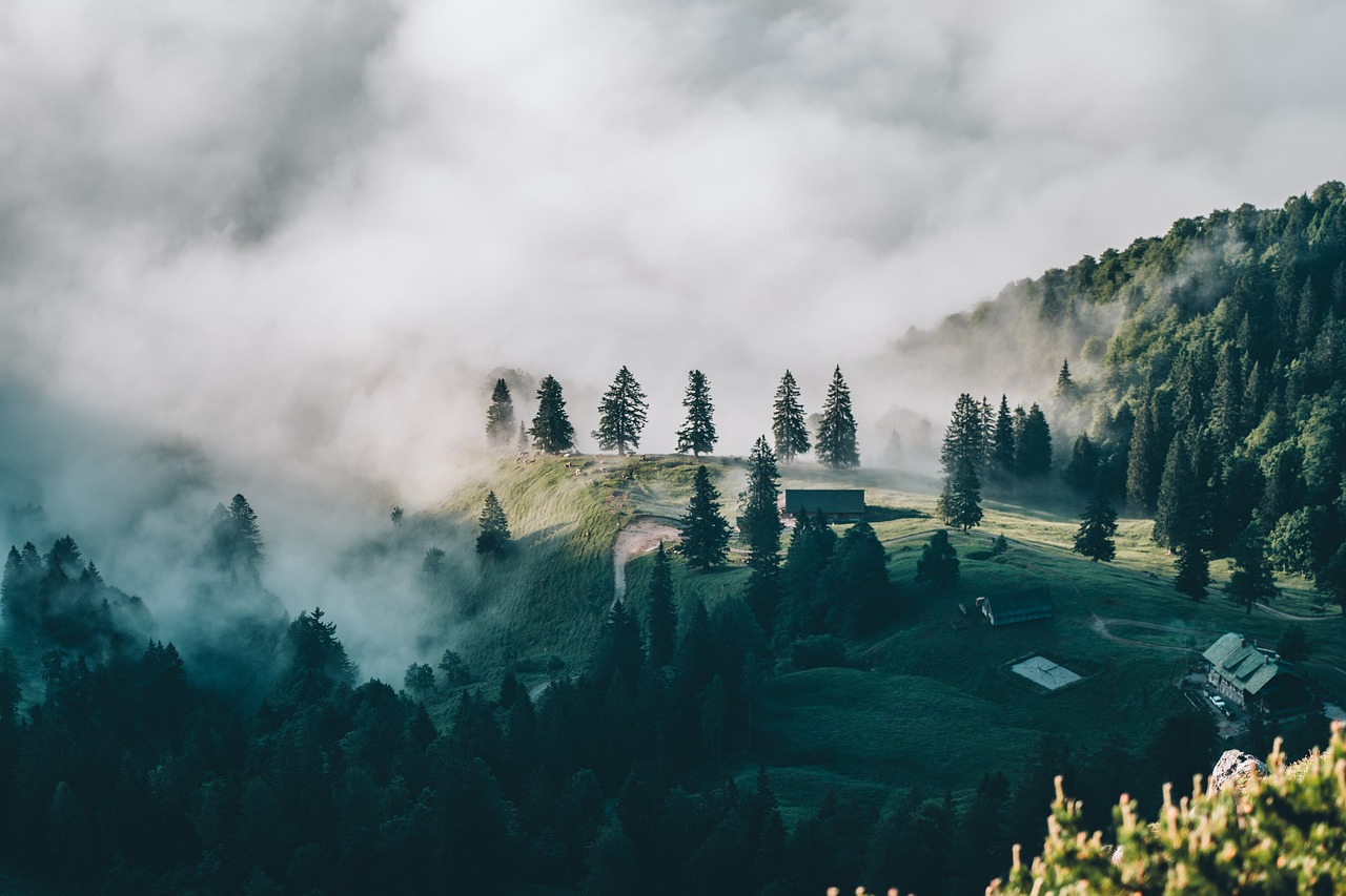 découvrez le monde avec des conseils de voyage, des destinations incontournables et des astuces pour rendre vos aventures mémorables. explorez la beauté de chaque culture et créez des souvenirs inoubliables.