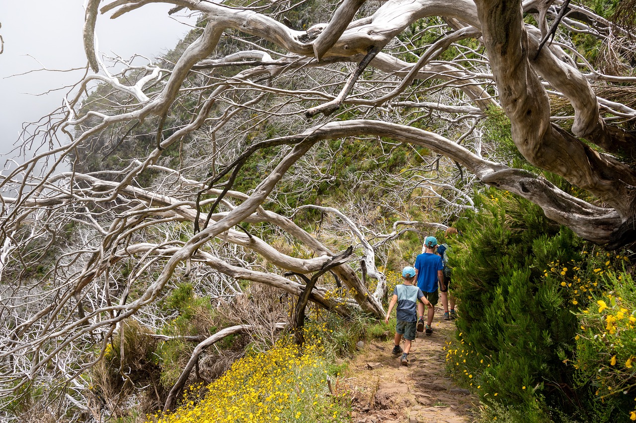 découvrez l'aventure ultime du trekking : des paysages à couper le souffle, des sentiers épiques et une reconnexion à la nature. préparez-vous à explorer des montagnes majestueuses et des vallées cachées, tout en vivant des moments inoubliables en pleine nature.