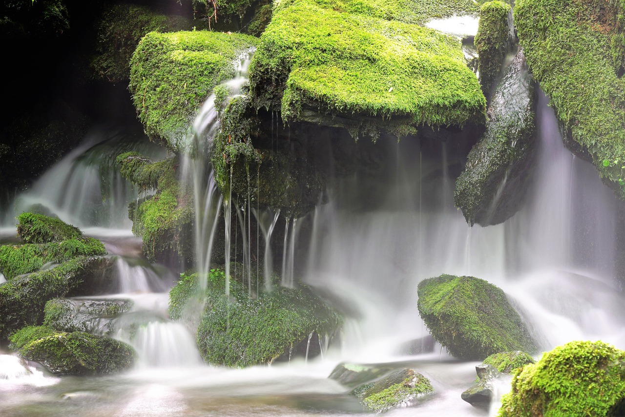 découvrez la beauté majestueuse des cascades, où l'eau descend en cascade sur des falaises, créant des spectacles naturels à couper le souffle. explorez les différentes cascades à travers le monde et laissez-vous envoûter par leur charme et leur force. parfait pour les amoureux de la nature et les aventuriers!