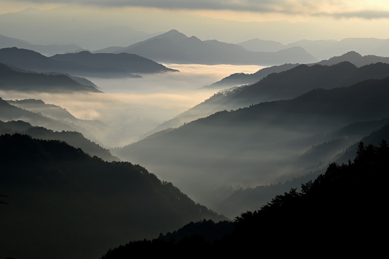 découvrez le monde fascinant de l'exploration, où chaque aventure vous mène vers l'inconnu. plongez dans des récits captivants, des découvertes étonnantes et des paysages à couper le souffle qui éveilleront votre esprit aventureux.