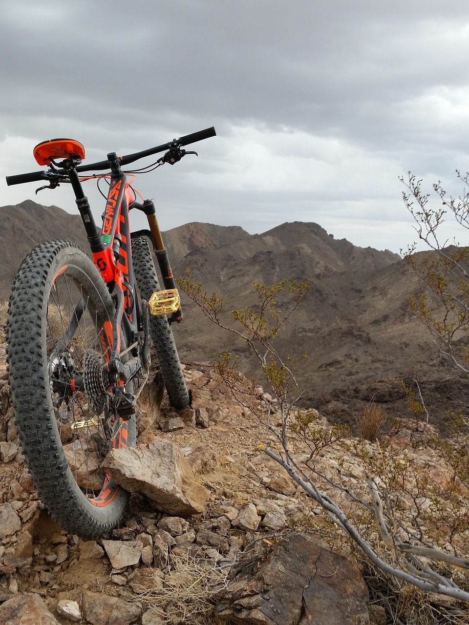 découvrez le monde passionnant du vtt, avec des conseils pour débutants, des itinéraires spectaculaires et des astuces pour améliorer vos compétences. partez à l'aventure sur les sentiers escarpés et vivez des sensations fortes en pleine nature !