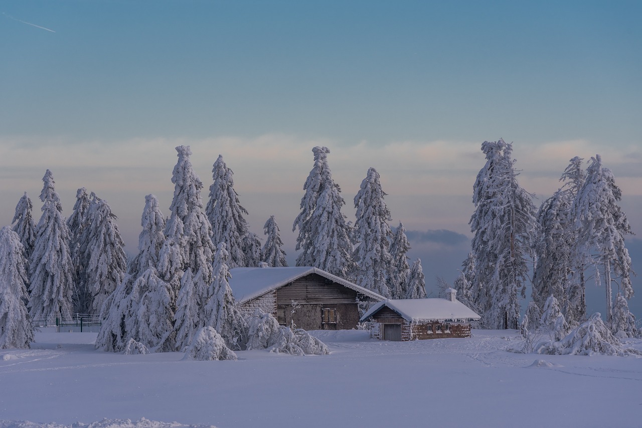 découvrez les meilleures activités d'hiver en plein air pour profiter de la saison froide ! que vous soyez amateur de ski, de randonnées en raquettes ou de promenades en traîneau, vivez des expériences inoubliables dans la neige et la nature.