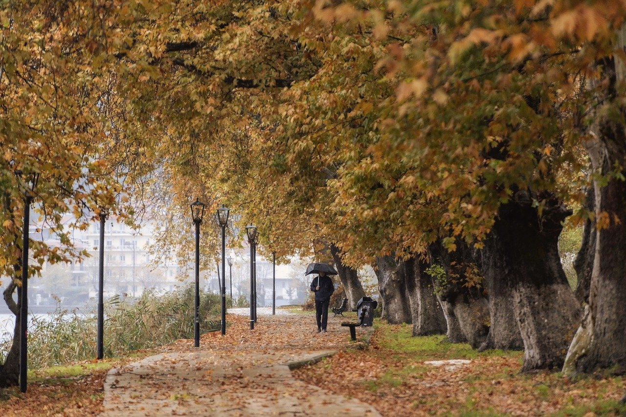 découvrez le charme des saisons à travers des paysages enchanteurs, des activités variées et des traditions uniques. appréciez les merveilles de chaque période de l'année, des floraisons printanières aux paysages enneigés d'hiver.