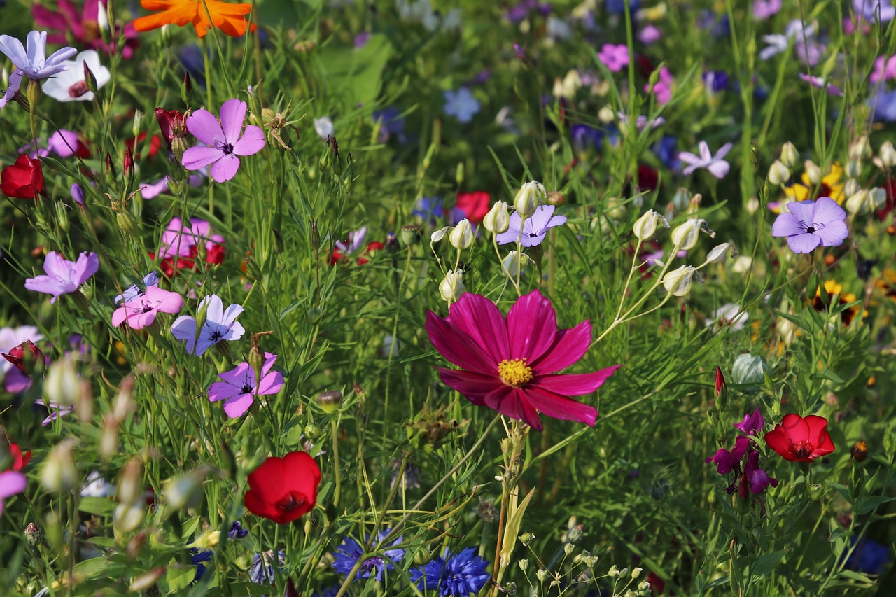 découvrez des jardins magnifiques où la nature s'épanouit dans toute sa splendeur. admirez des floraisons éclatantes, des aménagements paysagers harmonieux et un cadre apaisant pour des moments inoubliables.